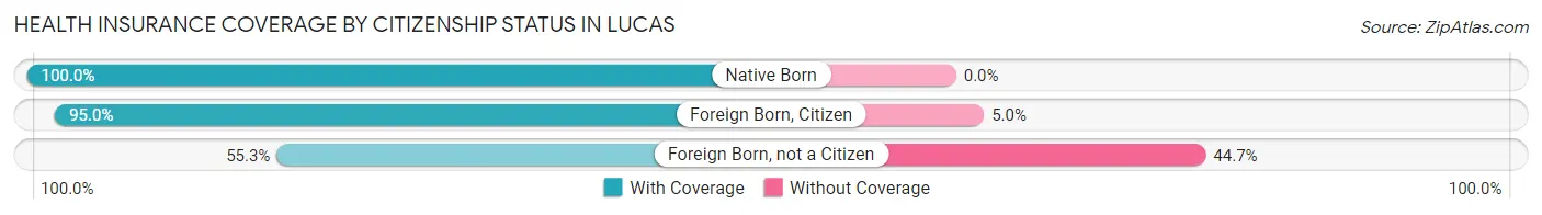 Health Insurance Coverage by Citizenship Status in Lucas