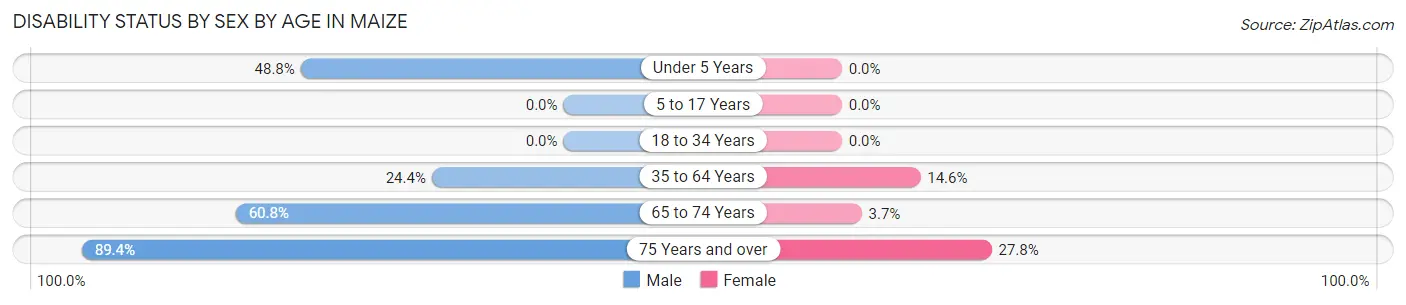 Disability Status by Sex by Age in Maize