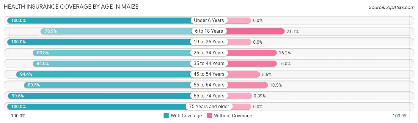 Health Insurance Coverage by Age in Maize