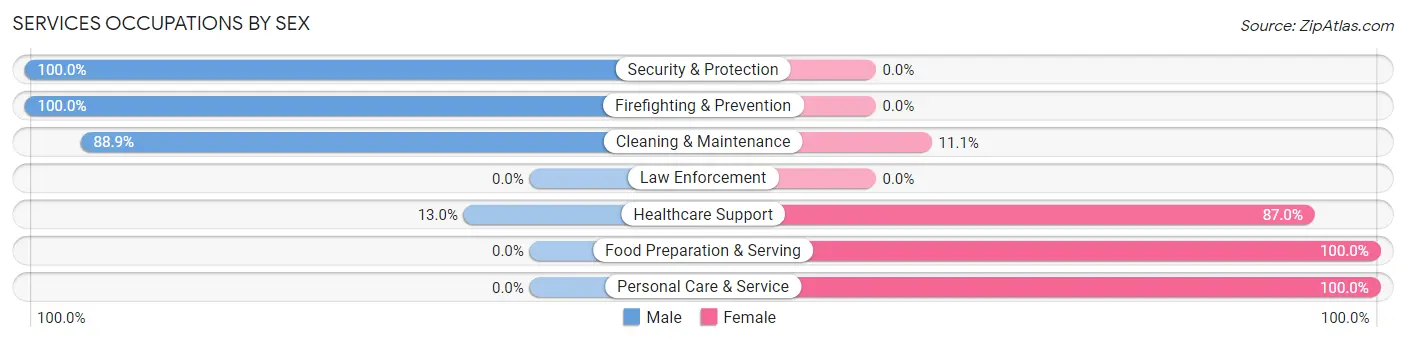 Services Occupations by Sex in Mankato