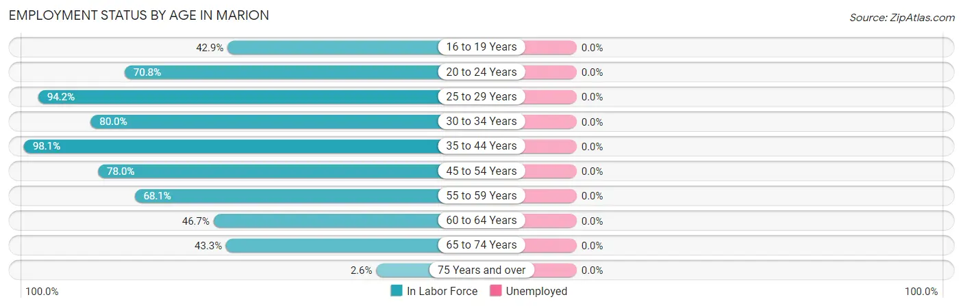 Employment Status by Age in Marion