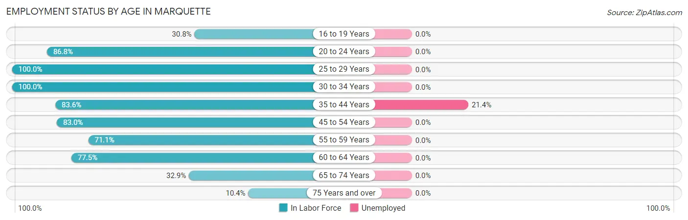 Employment Status by Age in Marquette