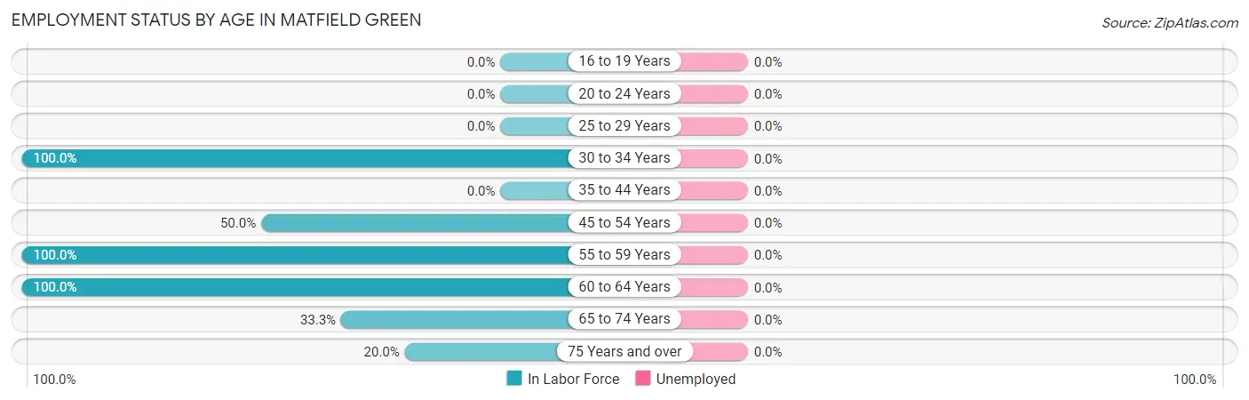 Employment Status by Age in Matfield Green