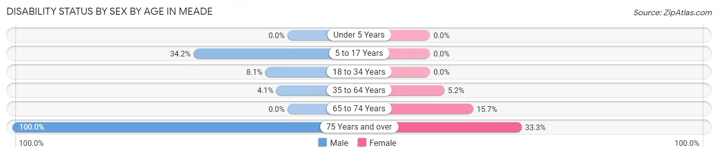 Disability Status by Sex by Age in Meade