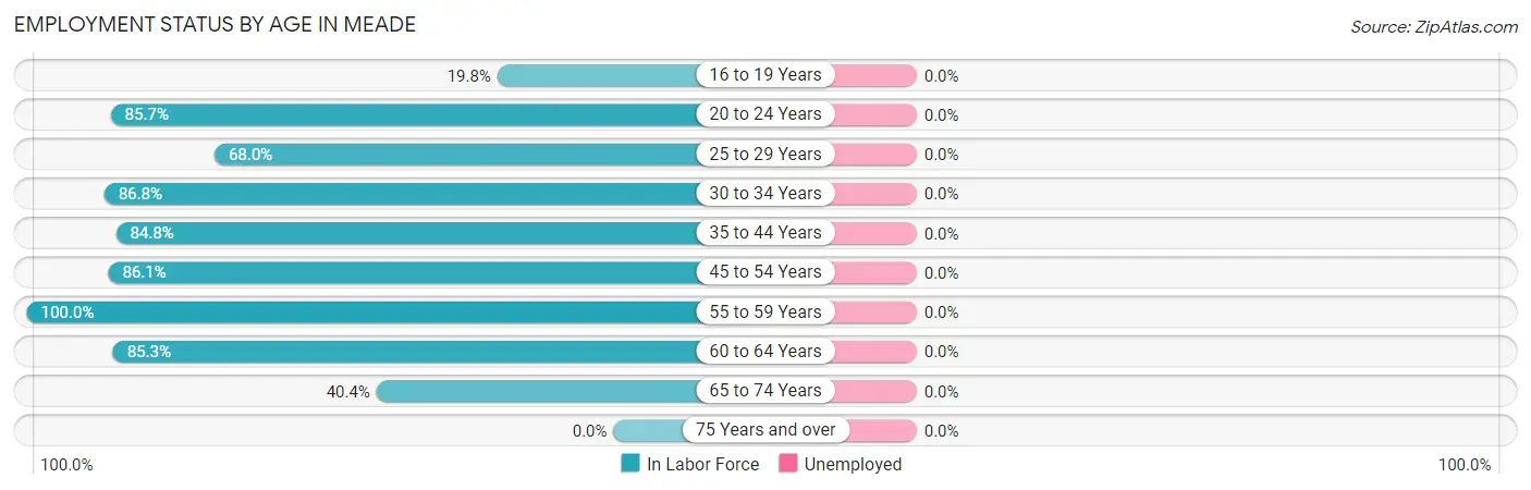 Employment Status by Age in Meade