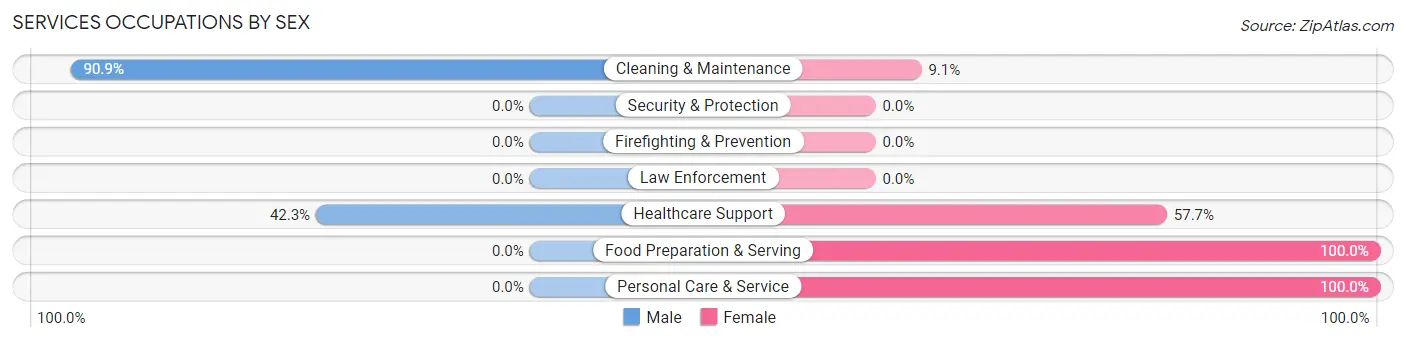 Services Occupations by Sex in Melvern