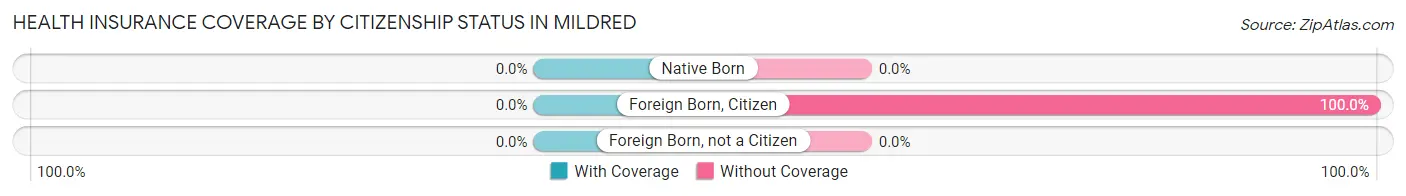 Health Insurance Coverage by Citizenship Status in Mildred