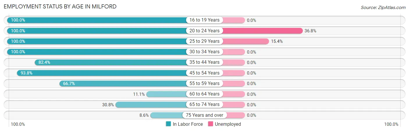 Employment Status by Age in Milford