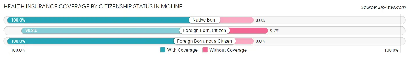 Health Insurance Coverage by Citizenship Status in Moline