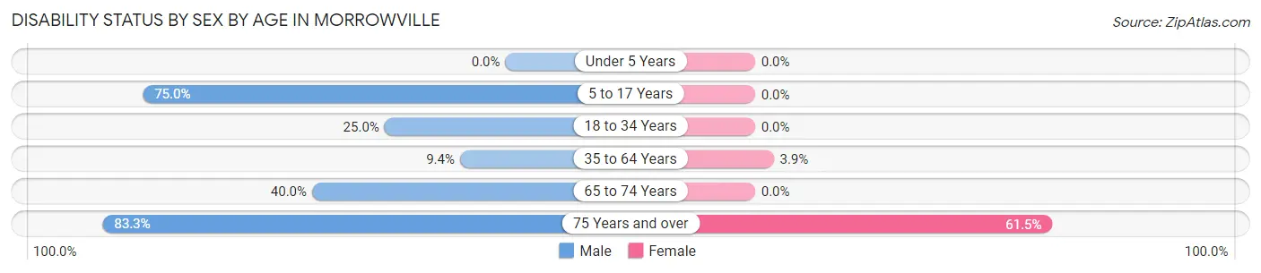 Disability Status by Sex by Age in Morrowville