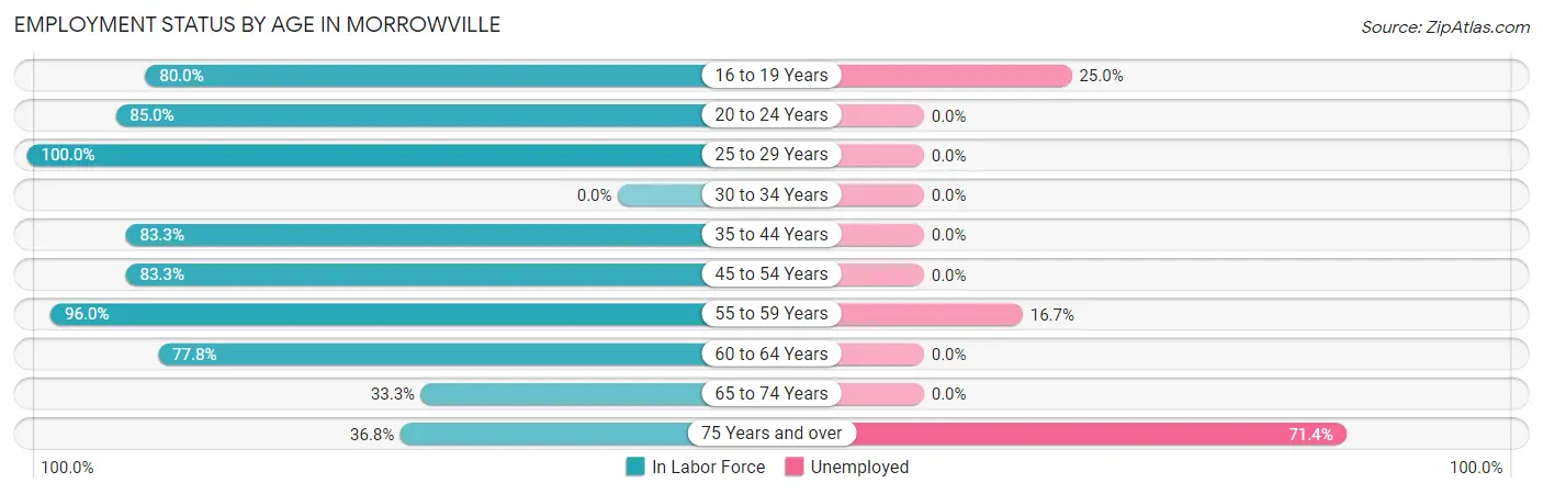 Employment Status by Age in Morrowville