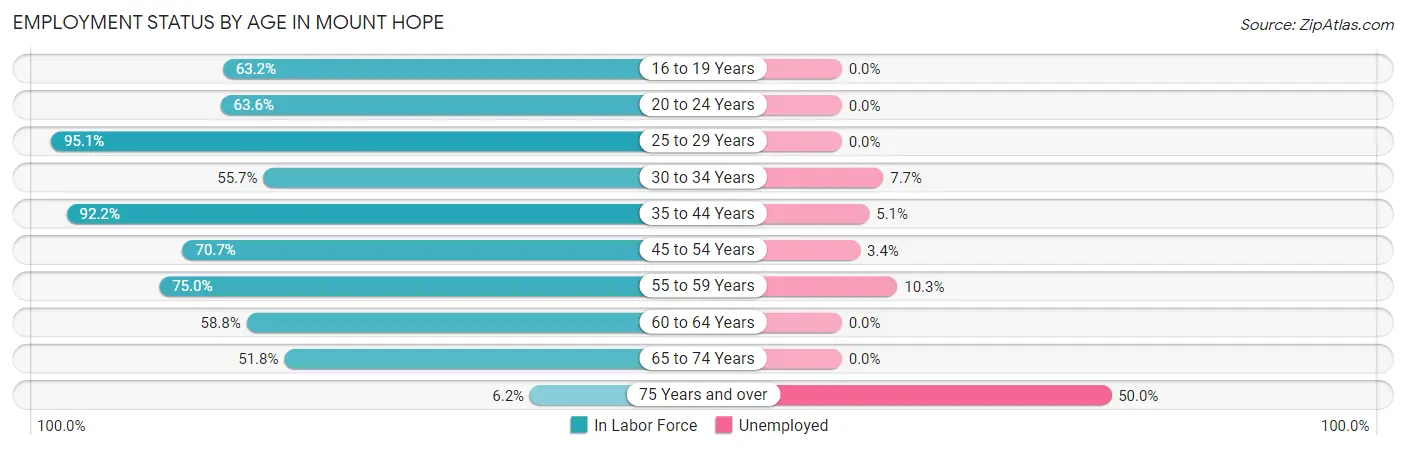 Employment Status by Age in Mount Hope