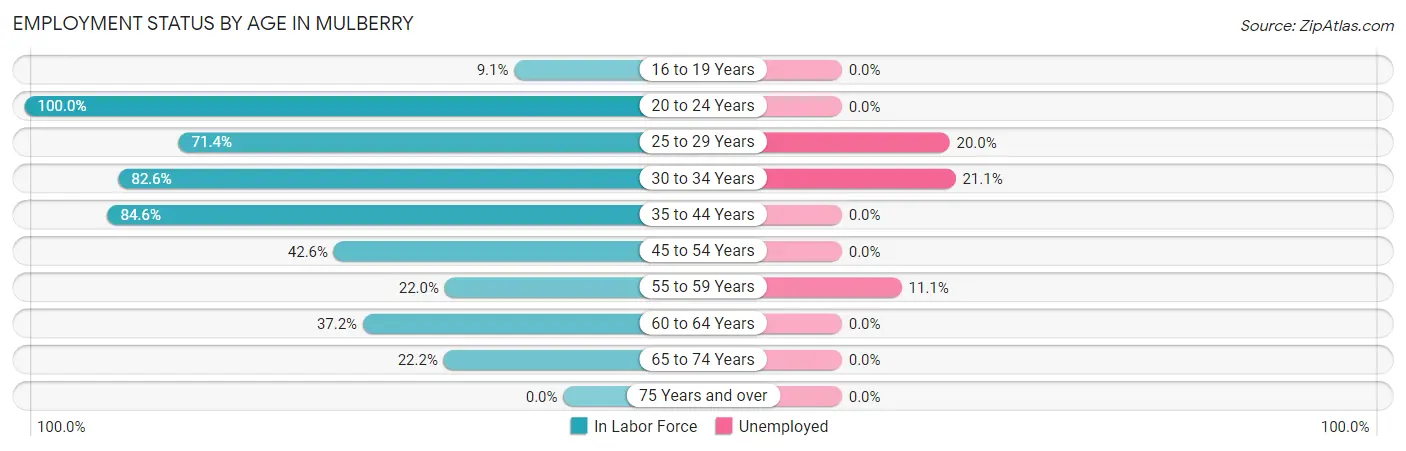 Employment Status by Age in Mulberry