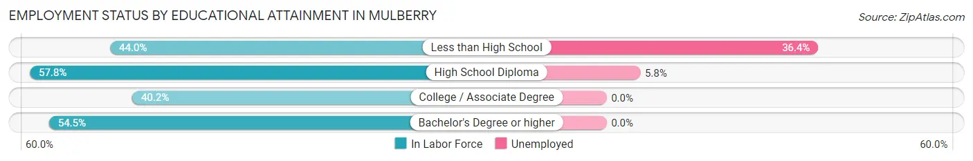 Employment Status by Educational Attainment in Mulberry