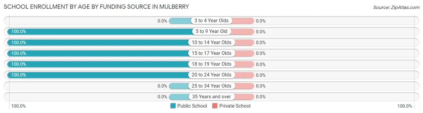 School Enrollment by Age by Funding Source in Mulberry