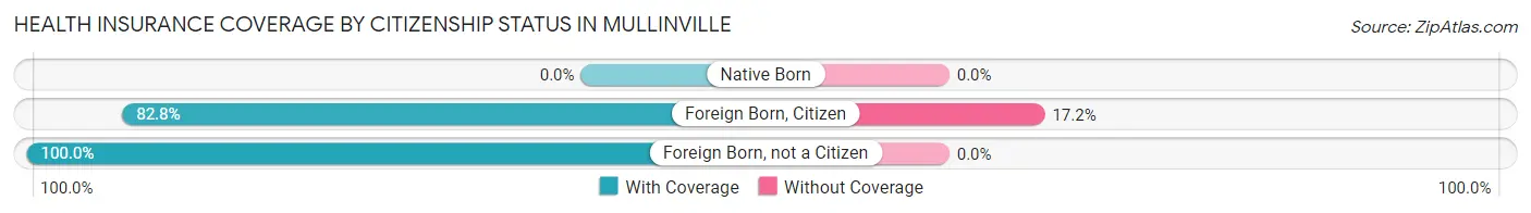 Health Insurance Coverage by Citizenship Status in Mullinville