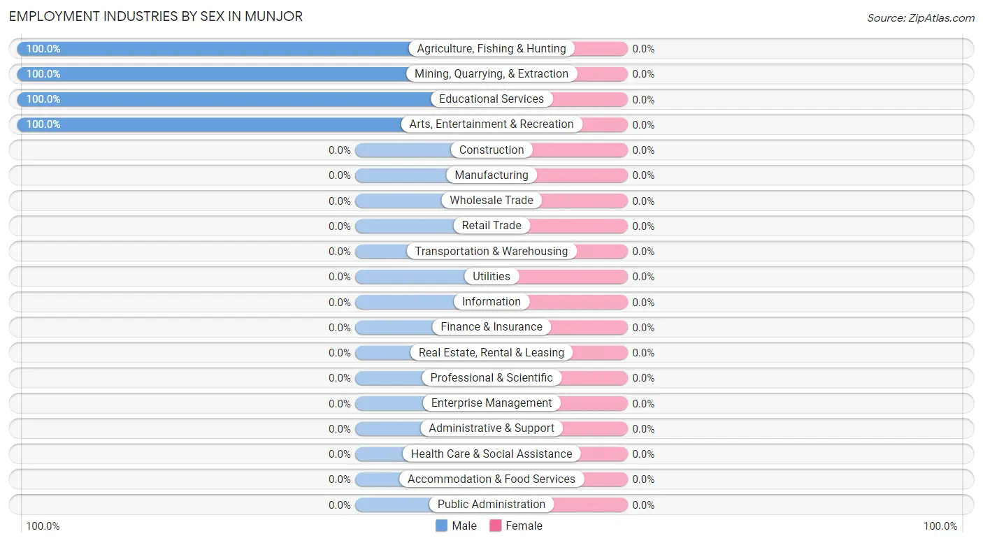 Employment Industries by Sex in Munjor