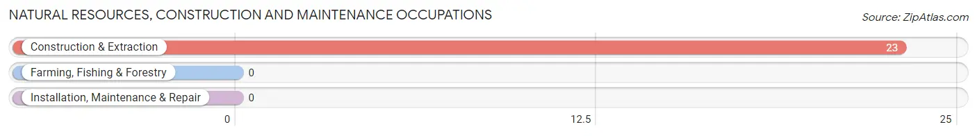 Natural Resources, Construction and Maintenance Occupations in Munjor