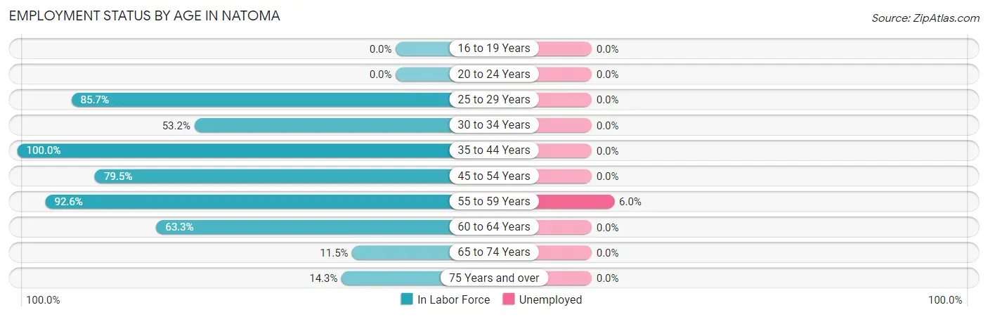 Employment Status by Age in Natoma