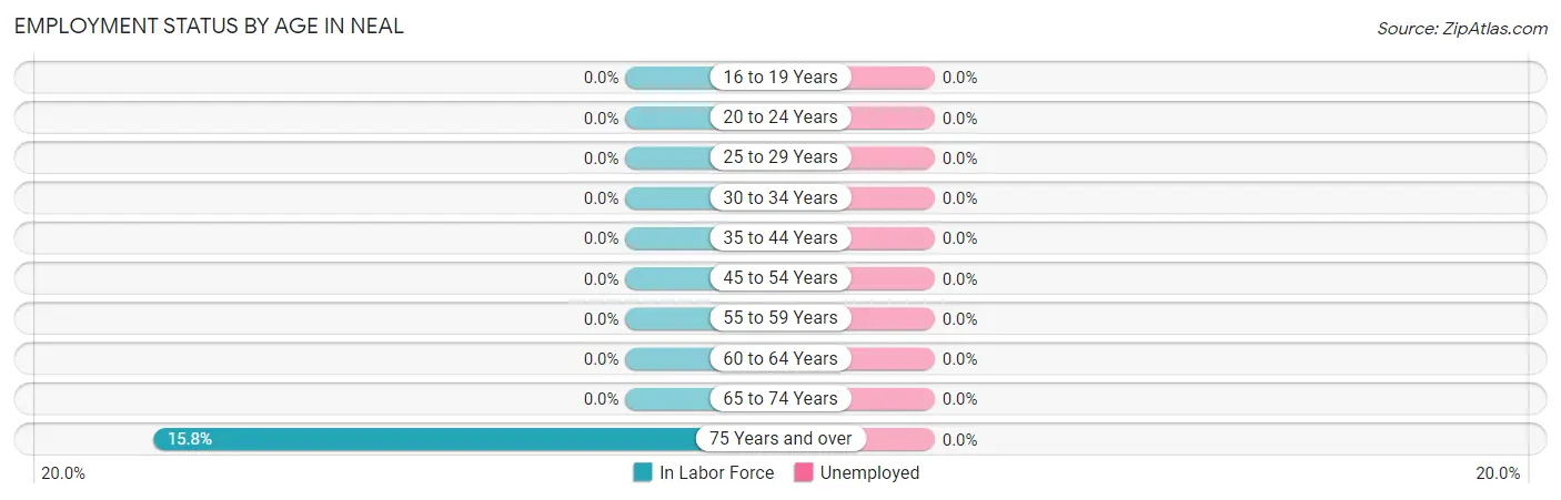 Employment Status by Age in Neal