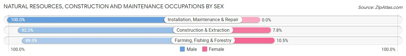 Natural Resources, Construction and Maintenance Occupations by Sex in Ness City