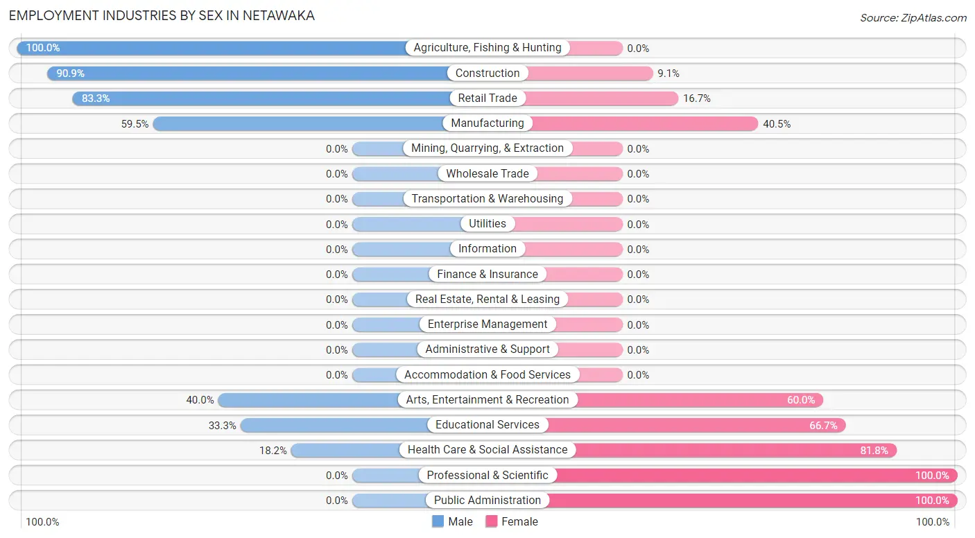 Employment Industries by Sex in Netawaka