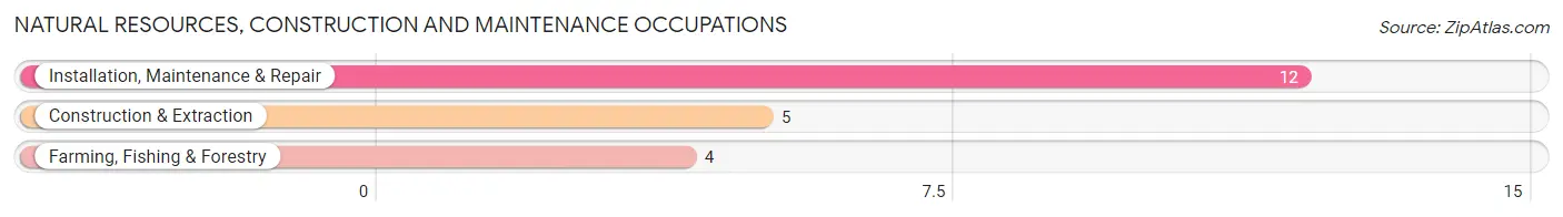 Natural Resources, Construction and Maintenance Occupations in Netawaka