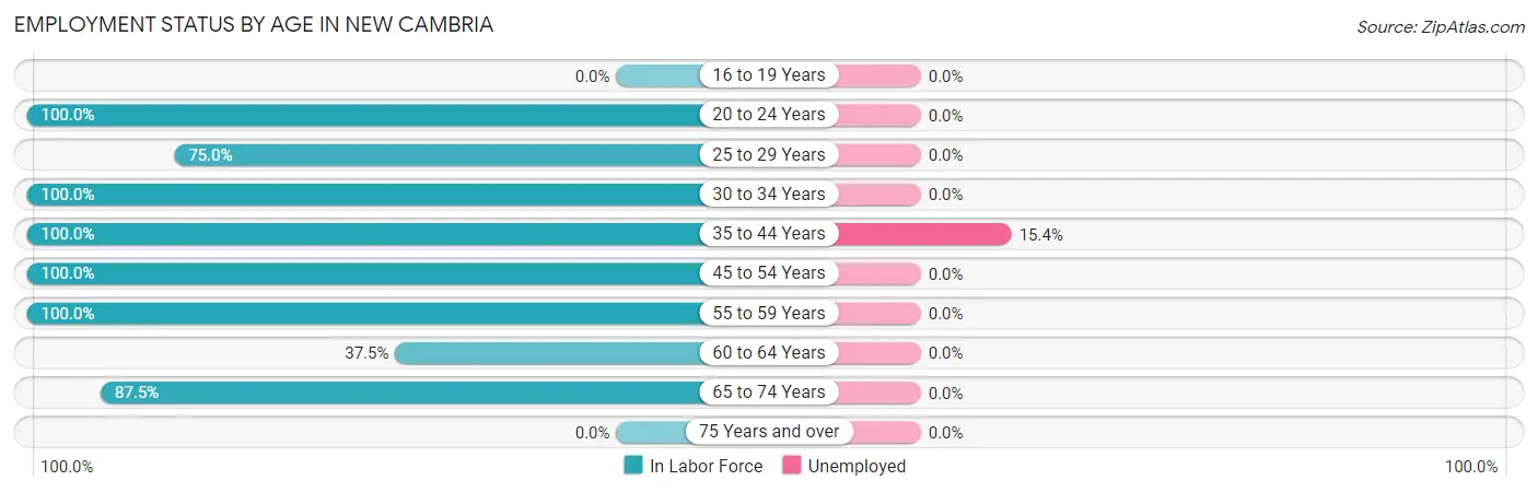 Employment Status by Age in New Cambria