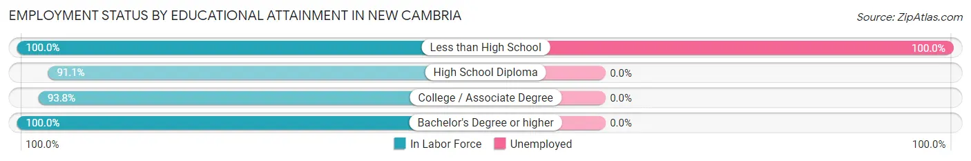 Employment Status by Educational Attainment in New Cambria