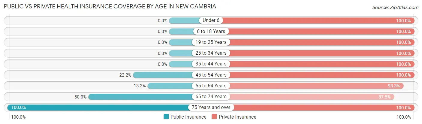 Public vs Private Health Insurance Coverage by Age in New Cambria