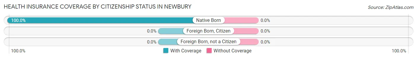 Health Insurance Coverage by Citizenship Status in Newbury