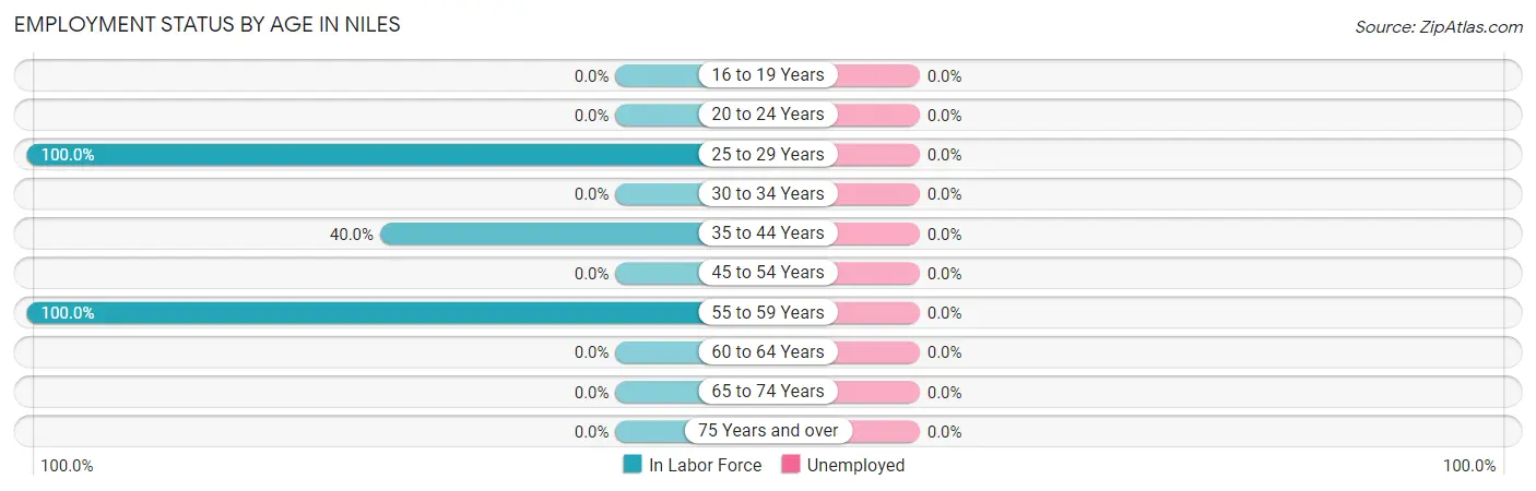 Employment Status by Age in Niles