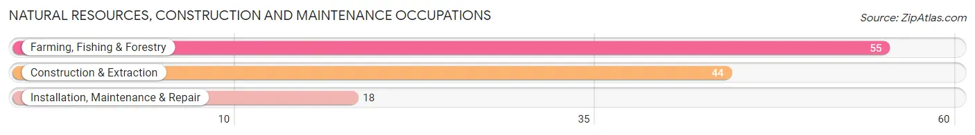 Natural Resources, Construction and Maintenance Occupations in Oakley