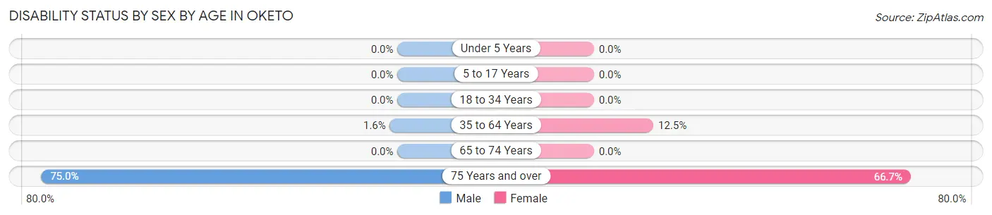 Disability Status by Sex by Age in Oketo