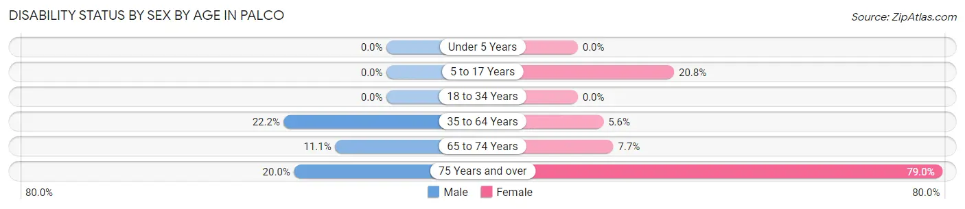 Disability Status by Sex by Age in Palco