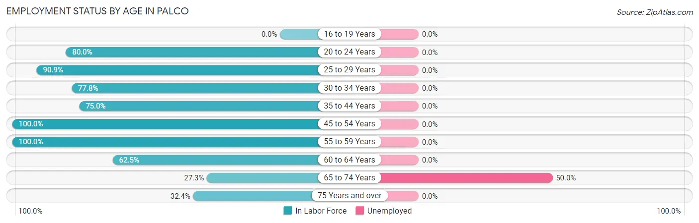 Employment Status by Age in Palco