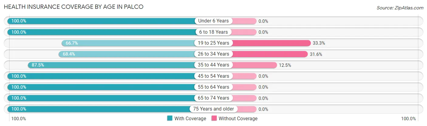 Health Insurance Coverage by Age in Palco