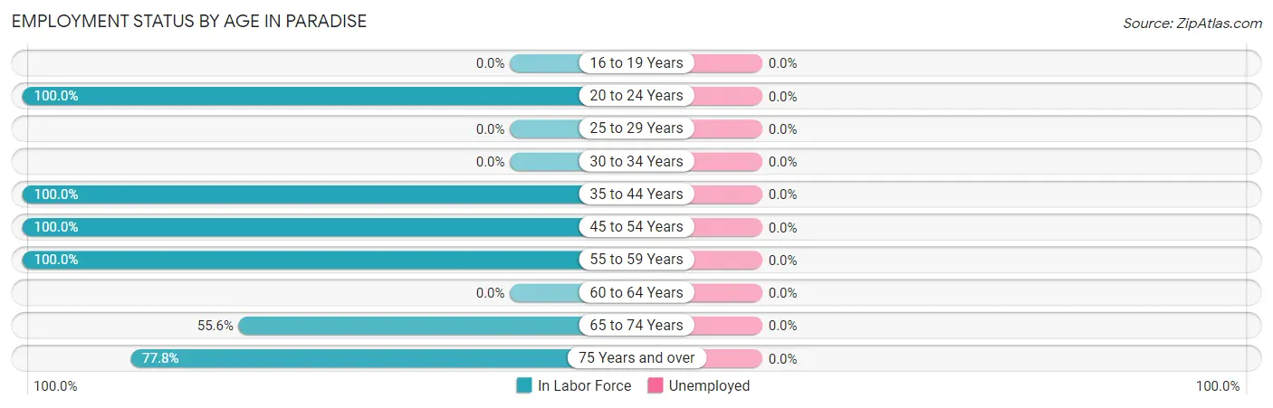 Employment Status by Age in Paradise