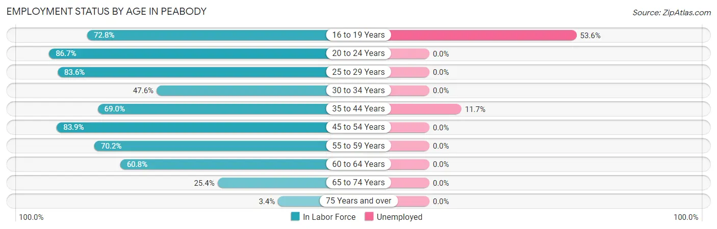 Employment Status by Age in Peabody