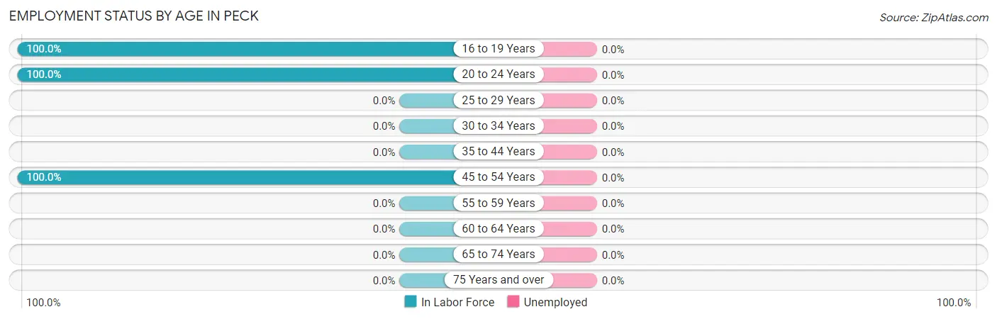 Employment Status by Age in Peck