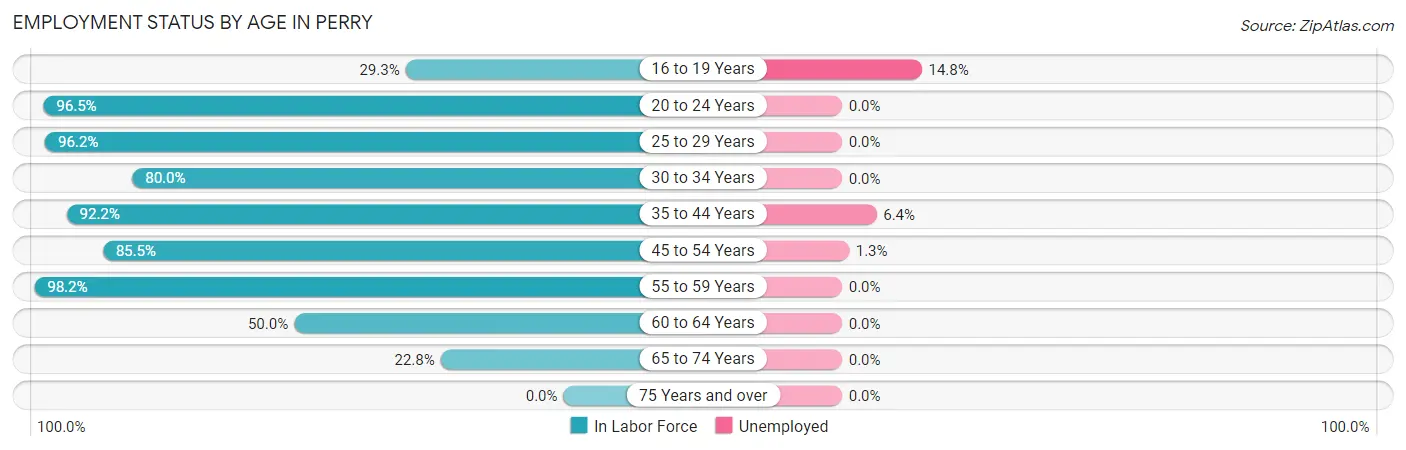 Employment Status by Age in Perry