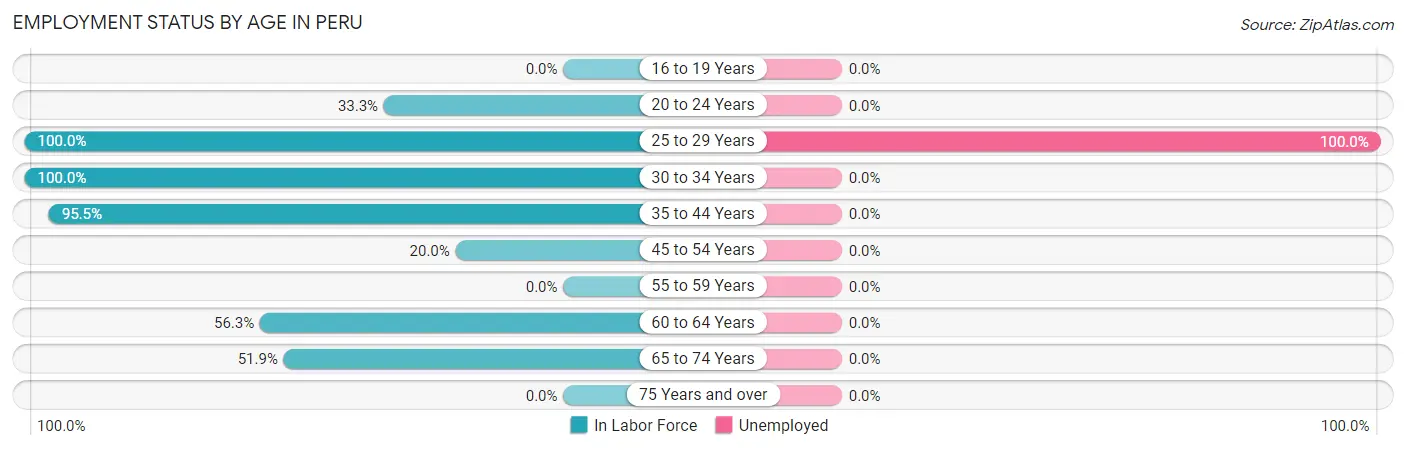 Employment Status by Age in Peru