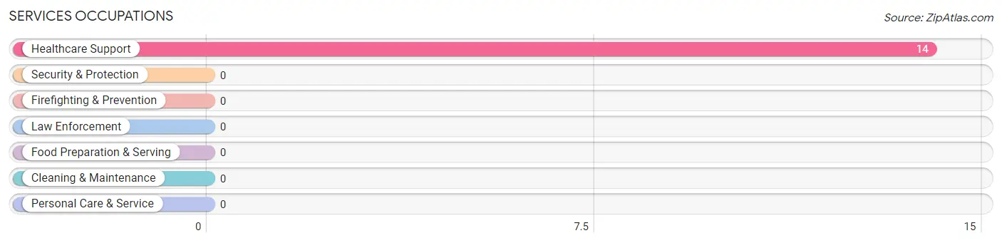 Services Occupations in Peru