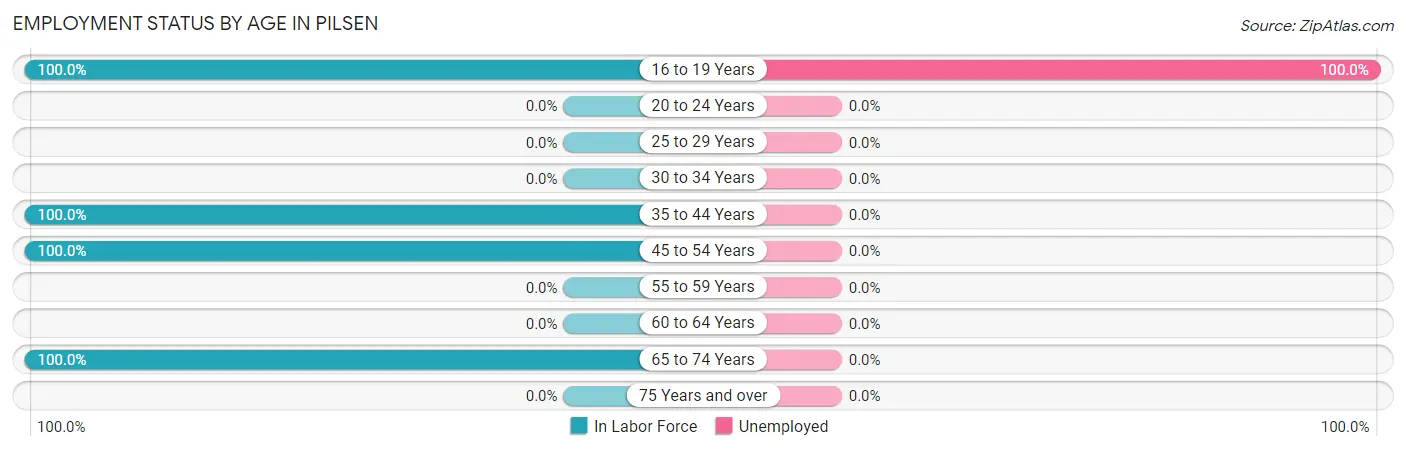 Employment Status by Age in Pilsen