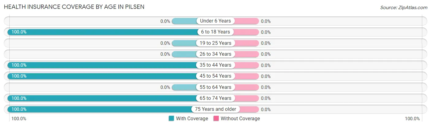 Health Insurance Coverage by Age in Pilsen