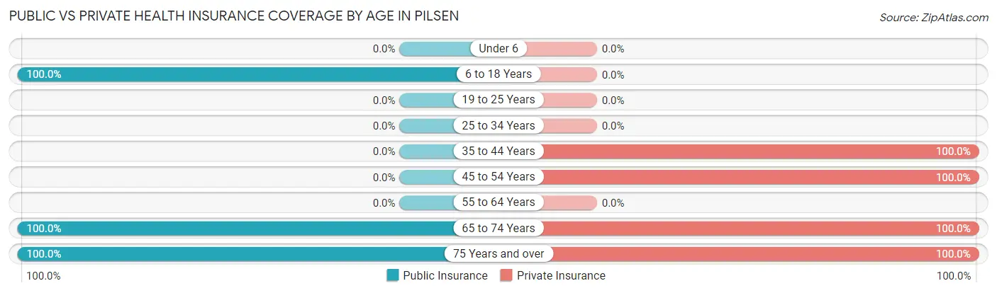 Public vs Private Health Insurance Coverage by Age in Pilsen