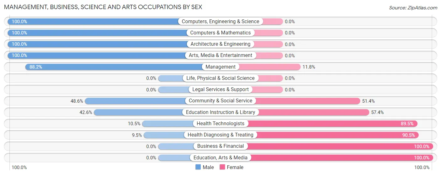 Management, Business, Science and Arts Occupations by Sex in Plains