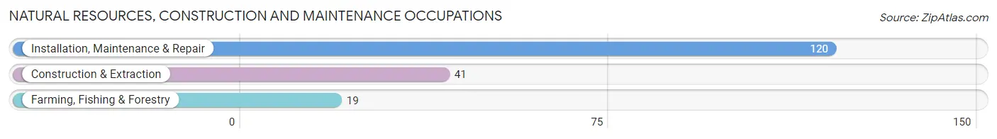 Natural Resources, Construction and Maintenance Occupations in Plainville