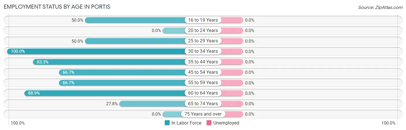 Employment Status by Age in Portis