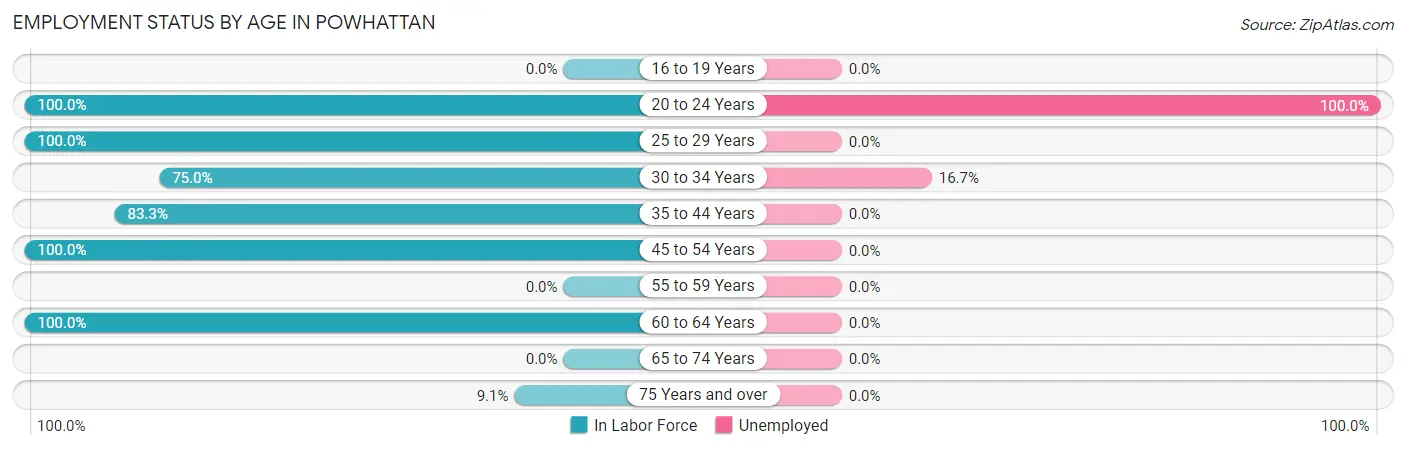 Employment Status by Age in Powhattan